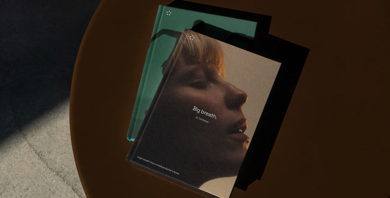Endor printed matter: a book and cards on a dark table